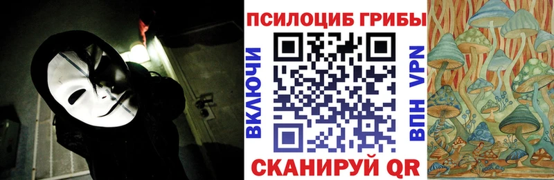 как найти закладки  Ак-Довурак  Галлюциногенные грибы Psilocybe 